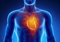 Kalp Büyümesi Belirtileri ve Tedavisi