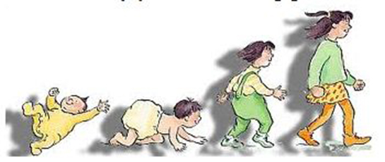 Canlılarda Büyüme Belirtileri ve Tedavisi